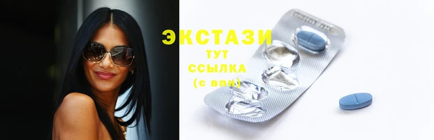 тгк Новозыбков