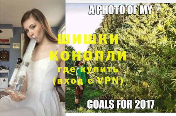 не бодяженный Новодвинск