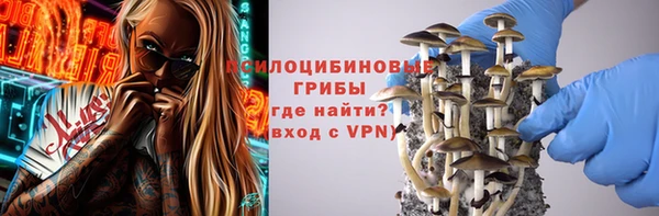не бодяженный Новодвинск